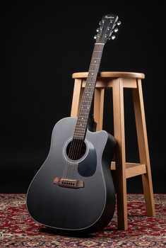 Akustická gitara Pasadena PDC-100 Black Akustická gitara (Poškodené) - 14