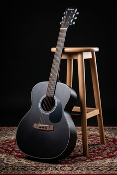 Gitara akustyczna Jumbo Pasadena PG-100 Black Gitara akustyczna Jumbo (Jak nowe) - 11