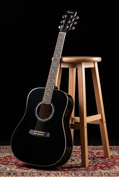 Dreadnought Guitar Pasadena PD-10 Black Dreadnought Guitar - 9