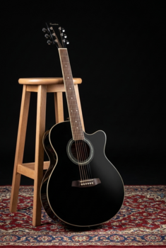 Akustická kytara Jumbo Pasadena PJC-350 Black Akustická kytara Jumbo - 11