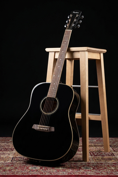 Akustická kytara Pasadena PD-300 Black Akustická kytara - 11