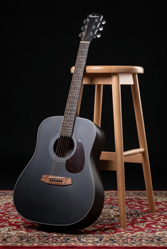Akustična gitara Pasadena PD-200 Black Akustična gitara - 11