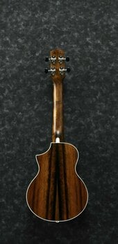 Koncertní ukulele Ibanez UEW13MEE-DBO Koncertní ukulele Natural - 2