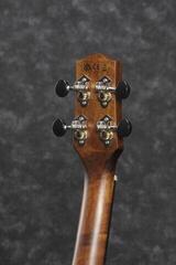Koncertné ukulele Ibanez UEW13MEE-DBO Natural Koncertné ukulele - 3