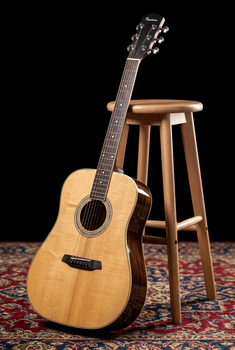 Akustična kitara Pasadena PD-500 All Solid Natural Gloss Akustična kitara (Samo odprto) - 12