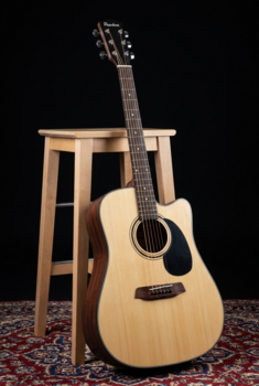 Akustična gitara Pasadena PDC-100 Natural Akustična gitara (Skoro novo) - 11