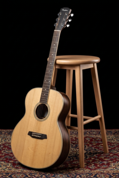 Guitarra Jumbo Pasadena PJ-250 Open Pore Natural Guitarra Jumbo - 13