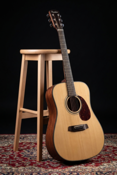 Dreadnought kitarr Pasadena PD-200 Natural Dreadnought kitarr - 11