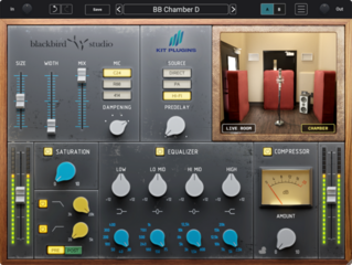 Software Plug-In FX Processor Kit Plugins BB Chamber D (Digital product) - 1
