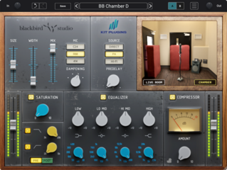 Software Plug-In FX Processor Kit Plugins BB Chamber D (Digital product) - 2