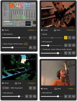 Studio Software Muse Sessions Pro Unlimited - 1 Year (Digital product) - 2