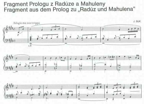 Music sheet for pianos Bärenreiter Varhanní knížka (výběr populárních skladeb k různým příležitostem) Music Book - 4