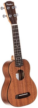 Сопрано укулеле Pasadena PU-10S Standard SET Natural Сопрано укулеле - 4