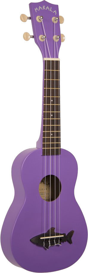 Fretboard