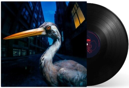 Vinyl Record Antony Szmierek - Decoding Birdsong (LP) - 2