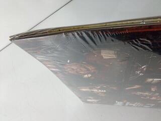 Disc de vinil Slipknot - Slipknot (Anniversary Edition) (2 LP) (Defect) - 2