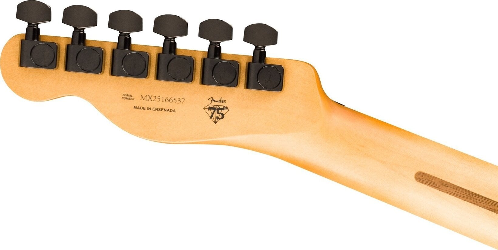 Fretboard