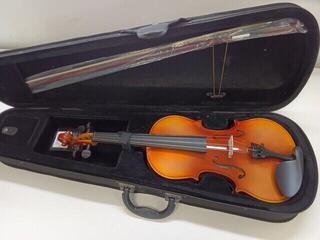 Akustična violina Stagg VN-L 4/4 Natural Akustična violina (Polovno) - 1