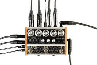Preamp/Rack Amplifier DSM & Humboldt Dumblifier Special Preamp/Rack Amplifier - 1