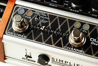 Preamp/Rack Amplifier DSM & Humboldt Dumblifier Special Preamp/Rack Amplifier - 3