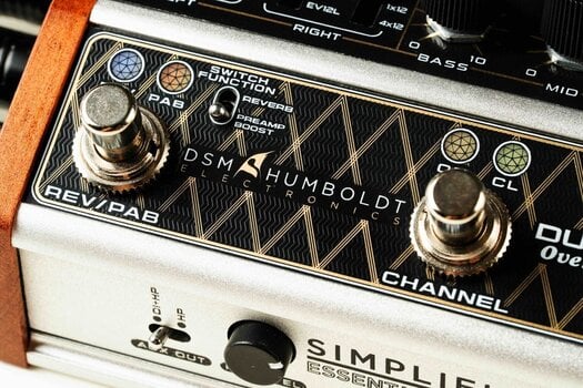 Preamp/Rack Amplifier DSM & Humboldt Dumblifier Special Preamp/Rack Amplifier - 4