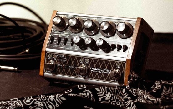 Preamp/Rack Amplifier DSM & Humboldt Dumblifier Special Preamp/Rack Amplifier - 8