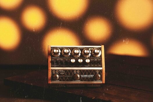 Preamp/Rack Amplifier DSM & Humboldt Dumblifier Special Preamp/Rack Amplifier - 9