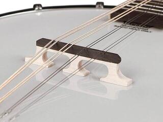 Mandolin Richwood Master RMBM-408 Mandolin - 4