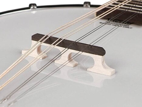 Mandolin Richwood Master RMBM-408 Mandolin - 5
