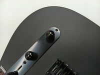 PSD Guitars TLC-100M Matte Black E-Gitarre