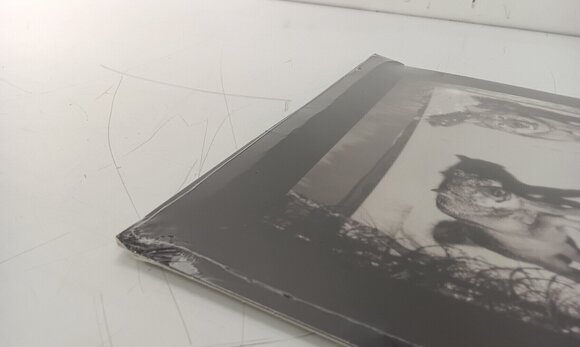 Vinyl Record Agriculture - The Spiritual Sound (LP) (Just unboxed) - 5