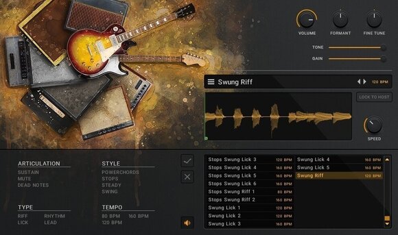 Audio biblioteka za sampler Impact Soundworks Riffage: Classic Rock (Digitalni proizvod) - 3
