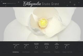 VST Instrument Impact Soundworks Magnolia Studio Grand (Digitalni proizvod) - 1