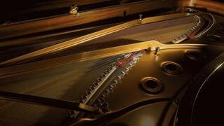 VST Instrument Impact Soundworks Magnolia Studio Grand (Digitalni proizvod) - 2
