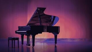 VST Instrument Impact Soundworks Camellia Concert Grand (Digitalni proizvod) - 2