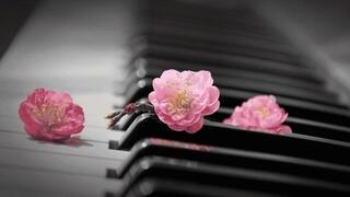 VST Instrument Impact Soundworks Blossom Piano Bundle (Digitalni proizvod) - 3