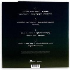 Schallplatte Ania Dąbrowska - The Best Of (Compilation) (2 LP) - 2