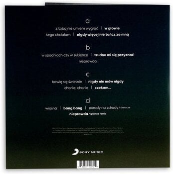 Schallplatte Ania Dąbrowska - The Best Of (Compilation) (2 LP) - 3