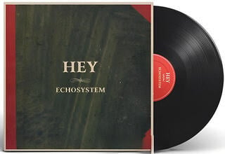 Vinylplade Hey - Echosystem (LP) - 1