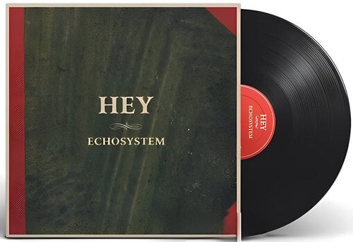 Vinyl Record Hey - Echosystem (LP) - 2