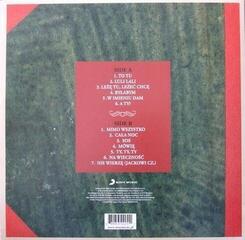 Vinylplade Hey - Echosystem (LP) - 2