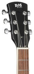 Elektriskā ģitāra PSD Guitars DCT-100 Black Elektriskā ģitāra - 4
