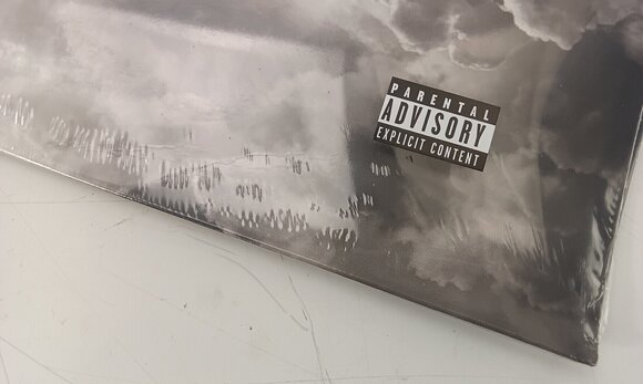 Vinylplate The Neighbourhood - I Love You (180g) (2 LP) (Bare uemballert) - 3