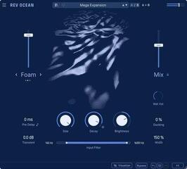 Programski Plug-In efekti Arturia Rev OCEAN (Digitalni proizvod) - 1