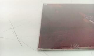 LP deska Pearl Jam - Ten (Reissue) (Remastered) (LP) (Pouze rozbaleno) - 4