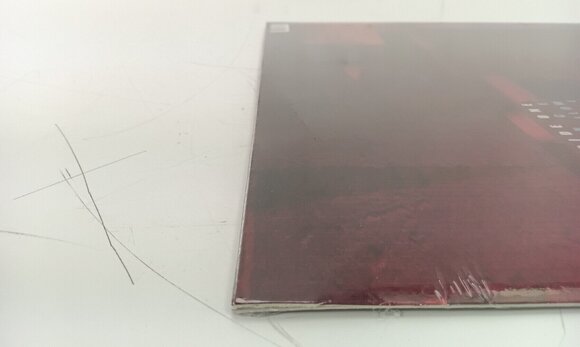 LP deska Pearl Jam - Ten (Reissue) (Remastered) (LP) (Pouze rozbaleno) - 5