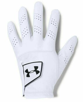 ua spieth tour glove