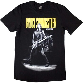 Gavesett Bruce Springsteen - Greatest Hits (2 LP) SET S - 5