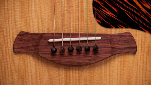 elektroakustisk gitarr Taylor Gold Label 517e elektroakustisk gitarr - 9