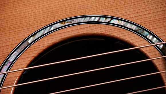 elektroakustisk gitarr Taylor 514ce Next Generation elektroakustisk gitarr - 5
